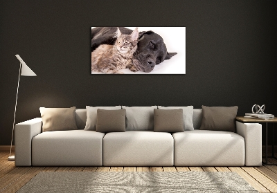 Schilderij glas Hond met kat