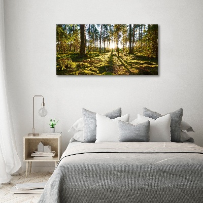 Foto schilderij op glas Dennenbos