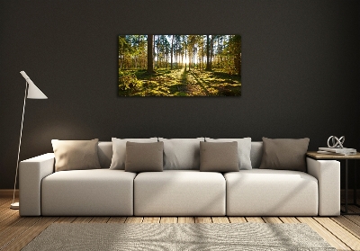 Foto schilderij op glas Dennenbos