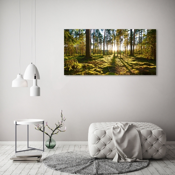 Foto schilderij op glas Dennenbos
