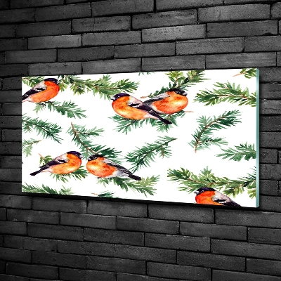 Glazen schilderij Roodborstje op een naaldboom