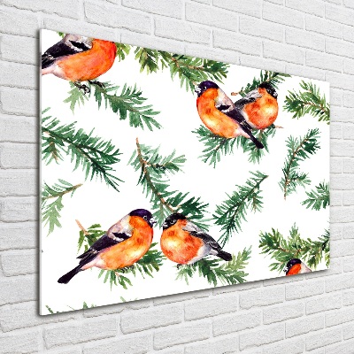 Glazen schilderij Roodborstje op een naaldboom