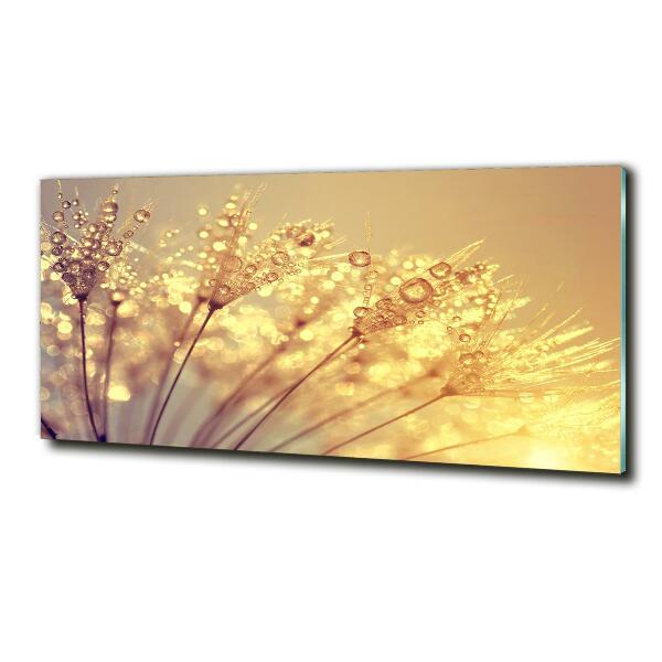 Glazen schilderij Paardenbloemzaden