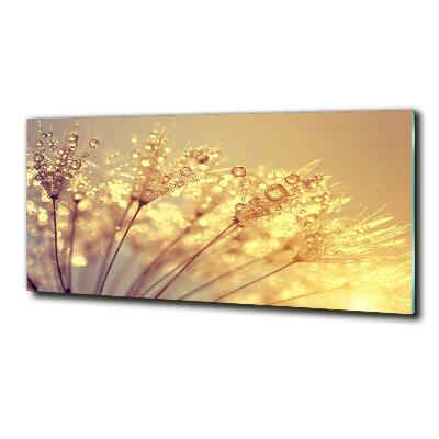 Glazen schilderij Paardenbloemzaden