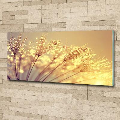 Glazen schilderij Paardenbloemzaden