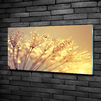 Glazen schilderij Paardenbloemzaden