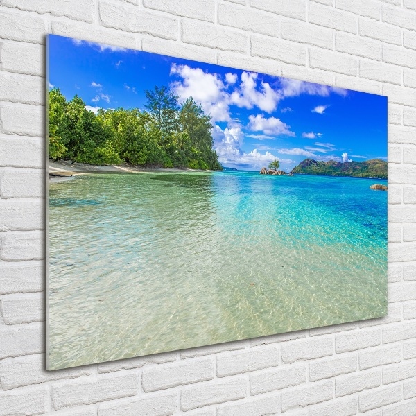 Foto schilderij op glas Strand op de Seychellen