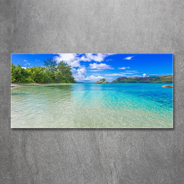 Foto schilderij op glas Strand op de Seychellen