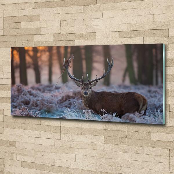 Schilderij glas Hert bij zonsopgang