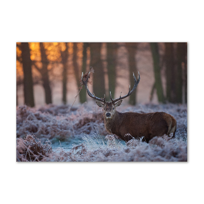 Schilderij glas Hert bij zonsopgang