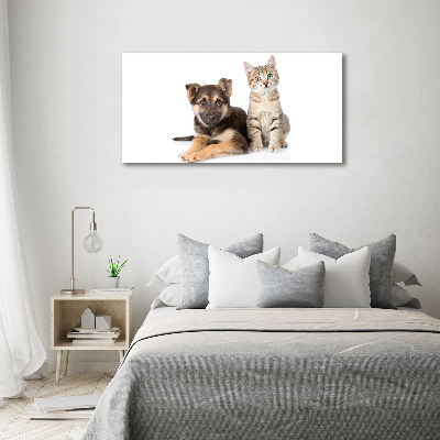 Foto schilderij op glas Hond en kat