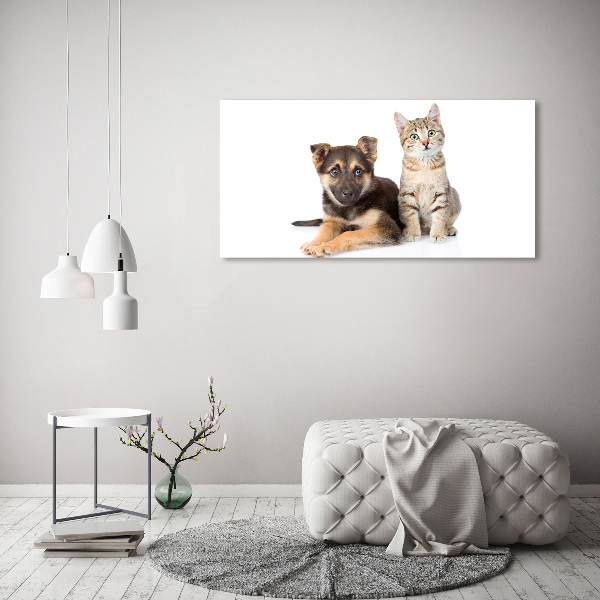Foto schilderij op glas Hond en kat