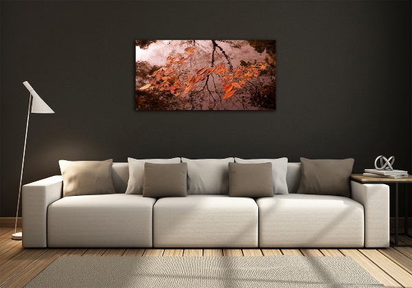 Schilderij op glas Bladeren op het water