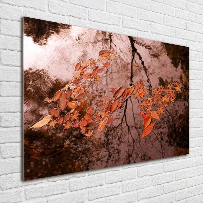 Schilderij op glas Bladeren op het water