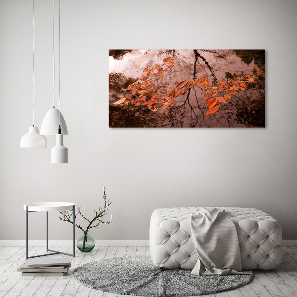 Schilderij op glas Bladeren op het water