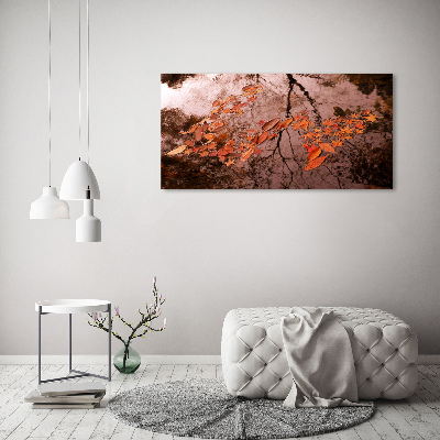 Schilderij op glas Bladeren op het water