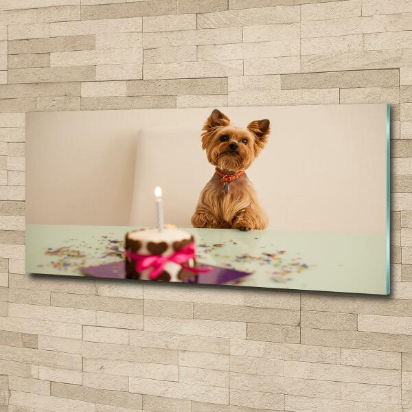 Schilderij op glas Hond met taart