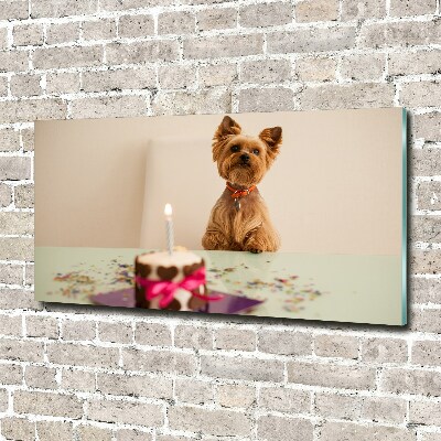 Schilderij op glas Hond met taart
