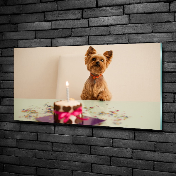 Schilderij op glas Hond met taart