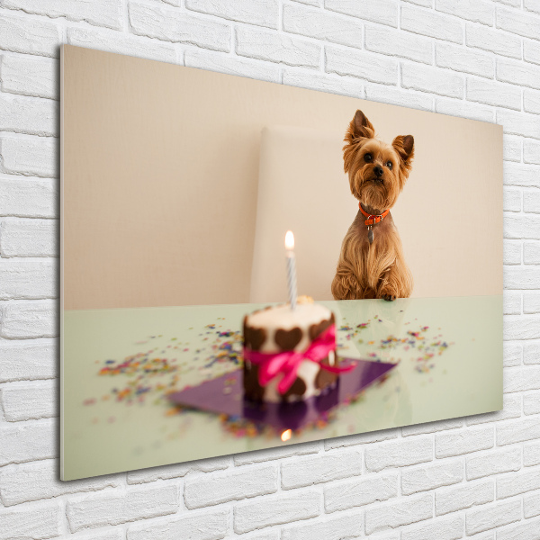 Schilderij op glas Hond met taart