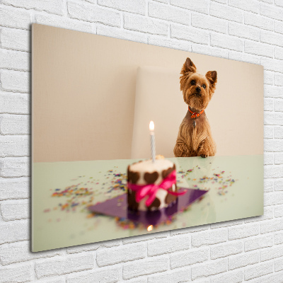 Schilderij op glas Hond met taart