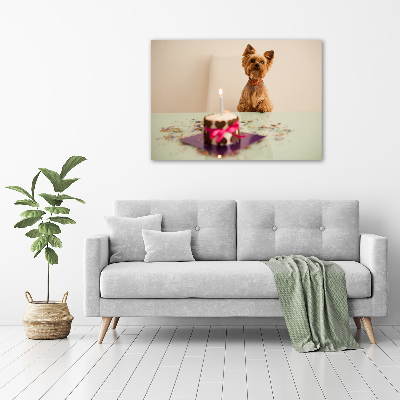 Schilderij op glas Hond met taart