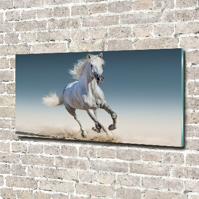 Schilderij glas Een wit paard in galop