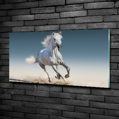 Schilderij glas Een wit paard in galop