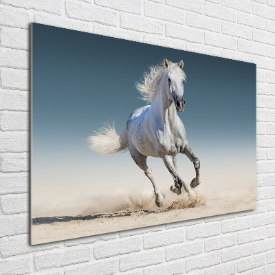Schilderij glas Een wit paard in galop