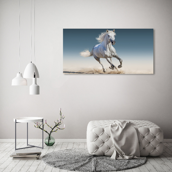Schilderij glas Een wit paard in galop
