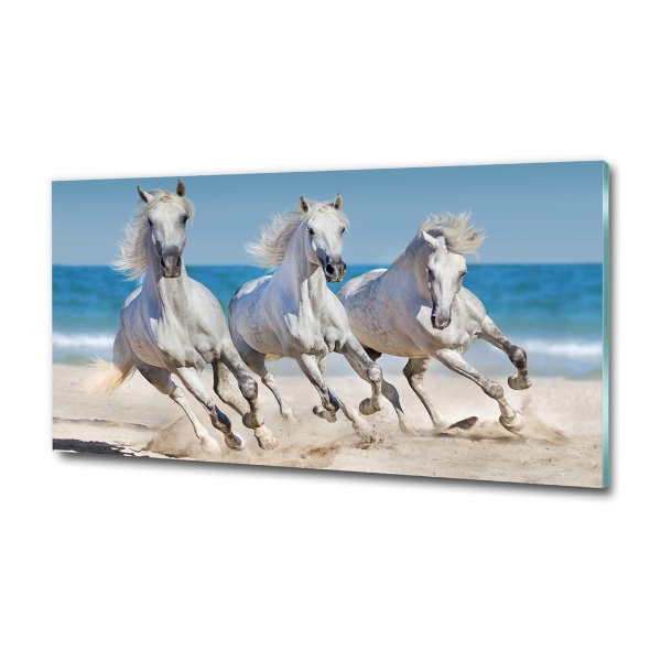 Foto schilderij op glas Witte paardenstrand