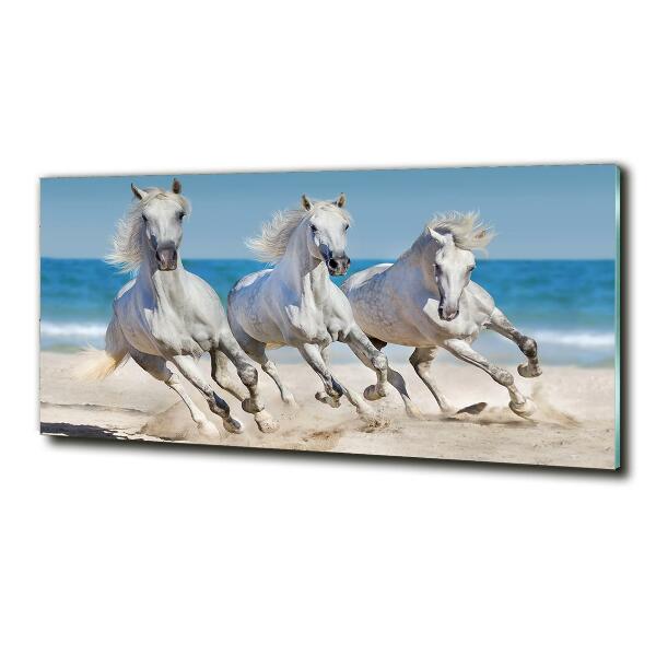 Foto schilderij op glas Witte paardenstrand