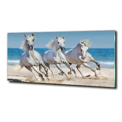 Foto schilderij op glas Witte paardenstrand