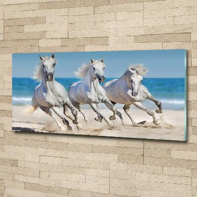 Foto schilderij op glas Witte paardenstrand