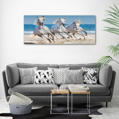 Foto schilderij op glas Witte paardenstrand