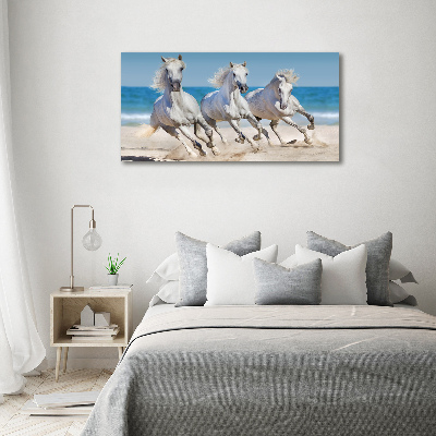 Foto schilderij op glas Witte paardenstrand