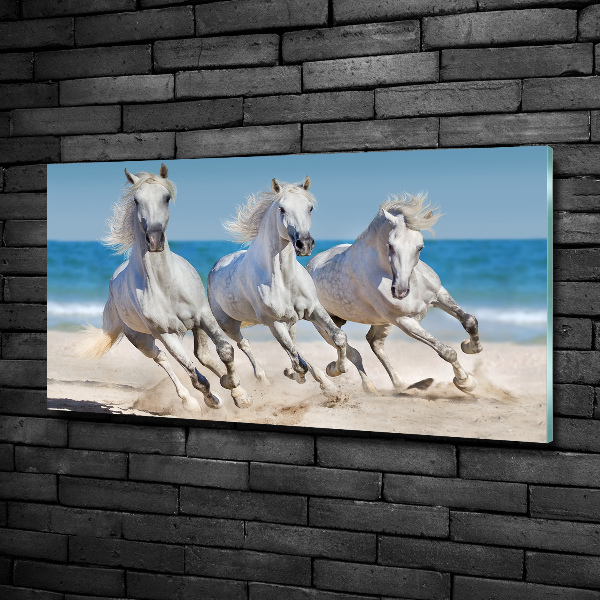 Foto schilderij op glas Witte paardenstrand