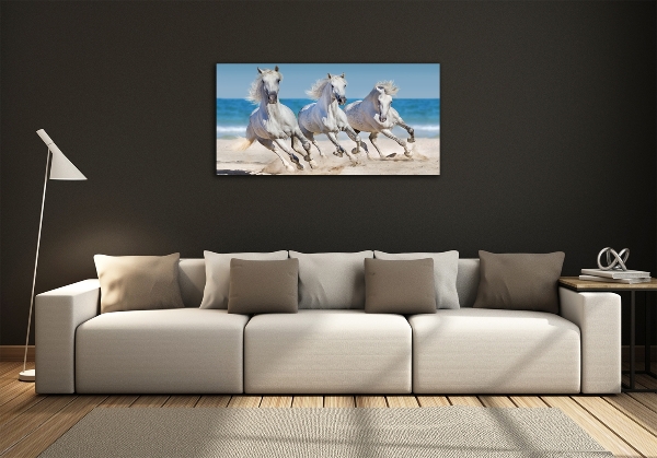 Foto schilderij op glas Witte paardenstrand