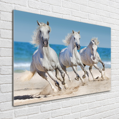 Foto schilderij op glas Witte paardenstrand