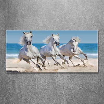 Foto schilderij op glas Witte paardenstrand