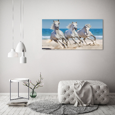 Foto schilderij op glas Witte paardenstrand
