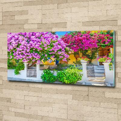 Foto schilderij op glas Huis met bougainvillea