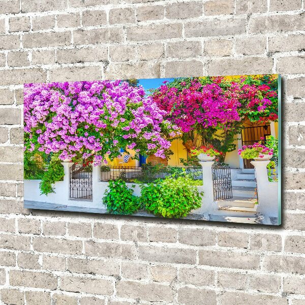 Foto schilderij op glas Huis met bougainvillea