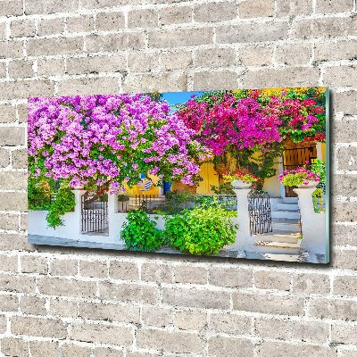 Foto schilderij op glas Huis met bougainvillea