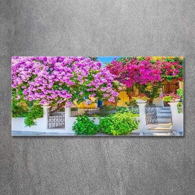 Foto schilderij op glas Huis met bougainvillea