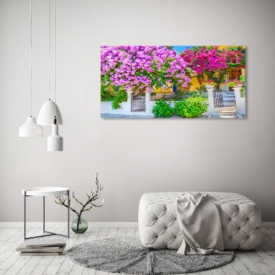 Foto schilderij op glas Huis met bougainvillea
