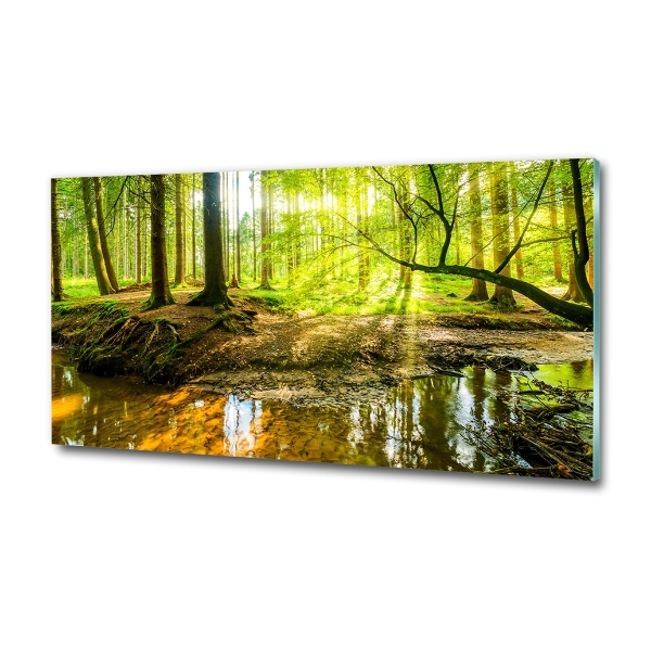 Schilderij op glas Een vijver in het bos