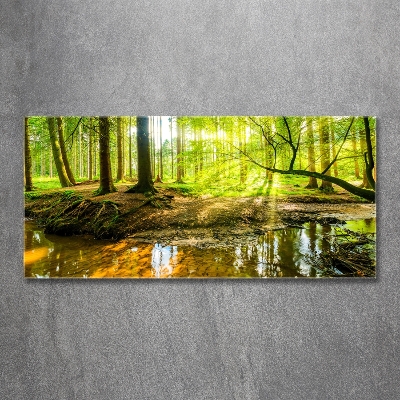 Schilderij op glas Een vijver in het bos