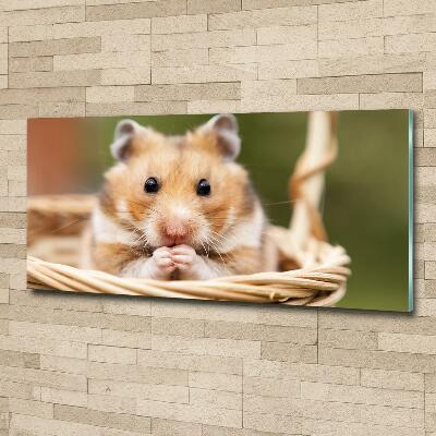 Glazen schilderij Hamster in een mandje