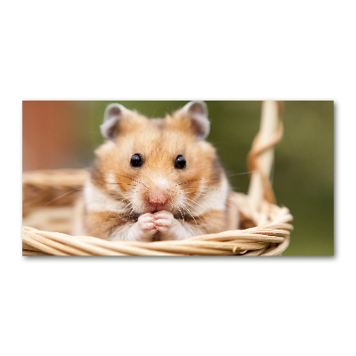 Glazen schilderij Hamster in een mandje